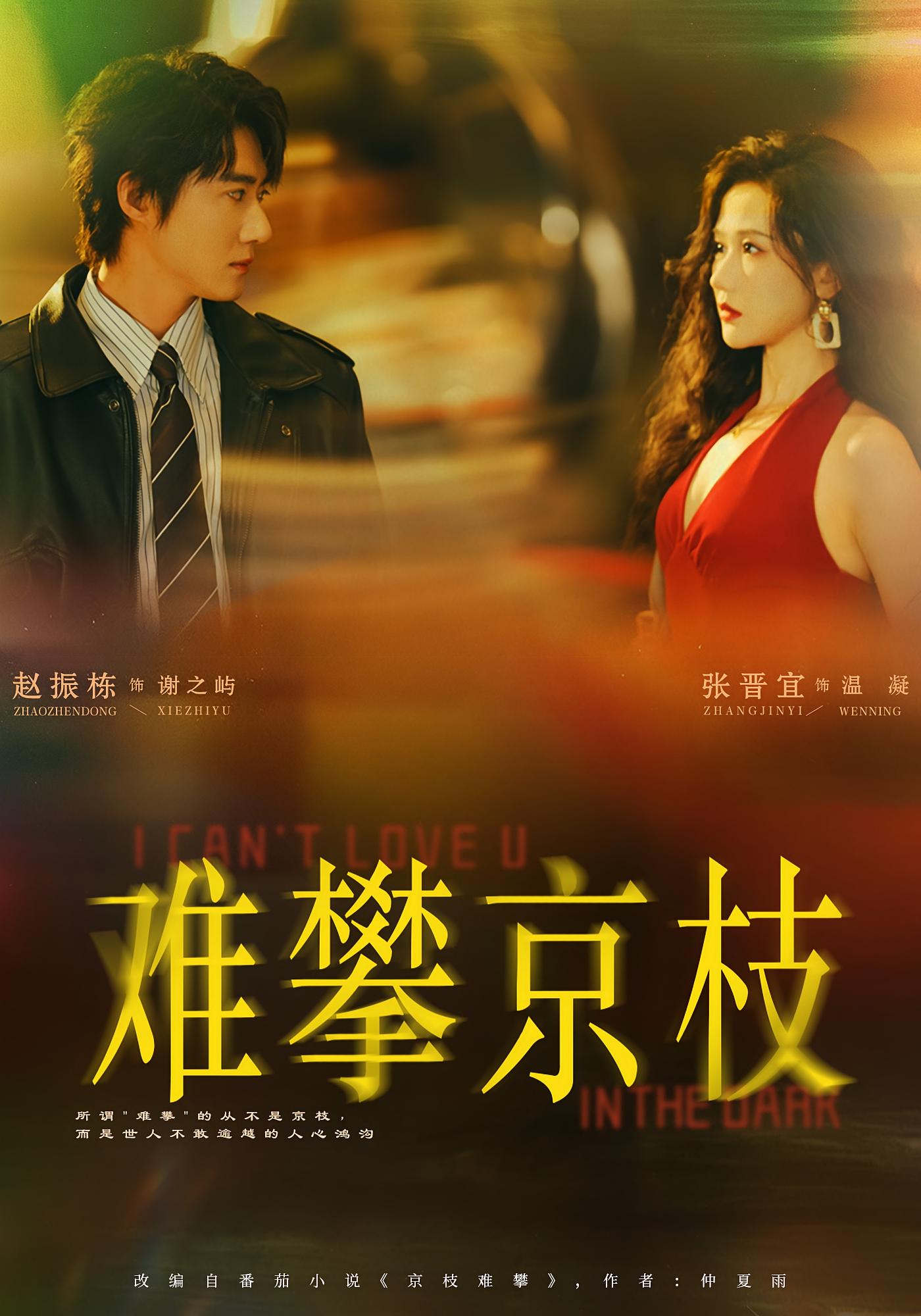 难攀京枝 都市情感·女强·全74集 张晋宜&赵振栋&刘诣文