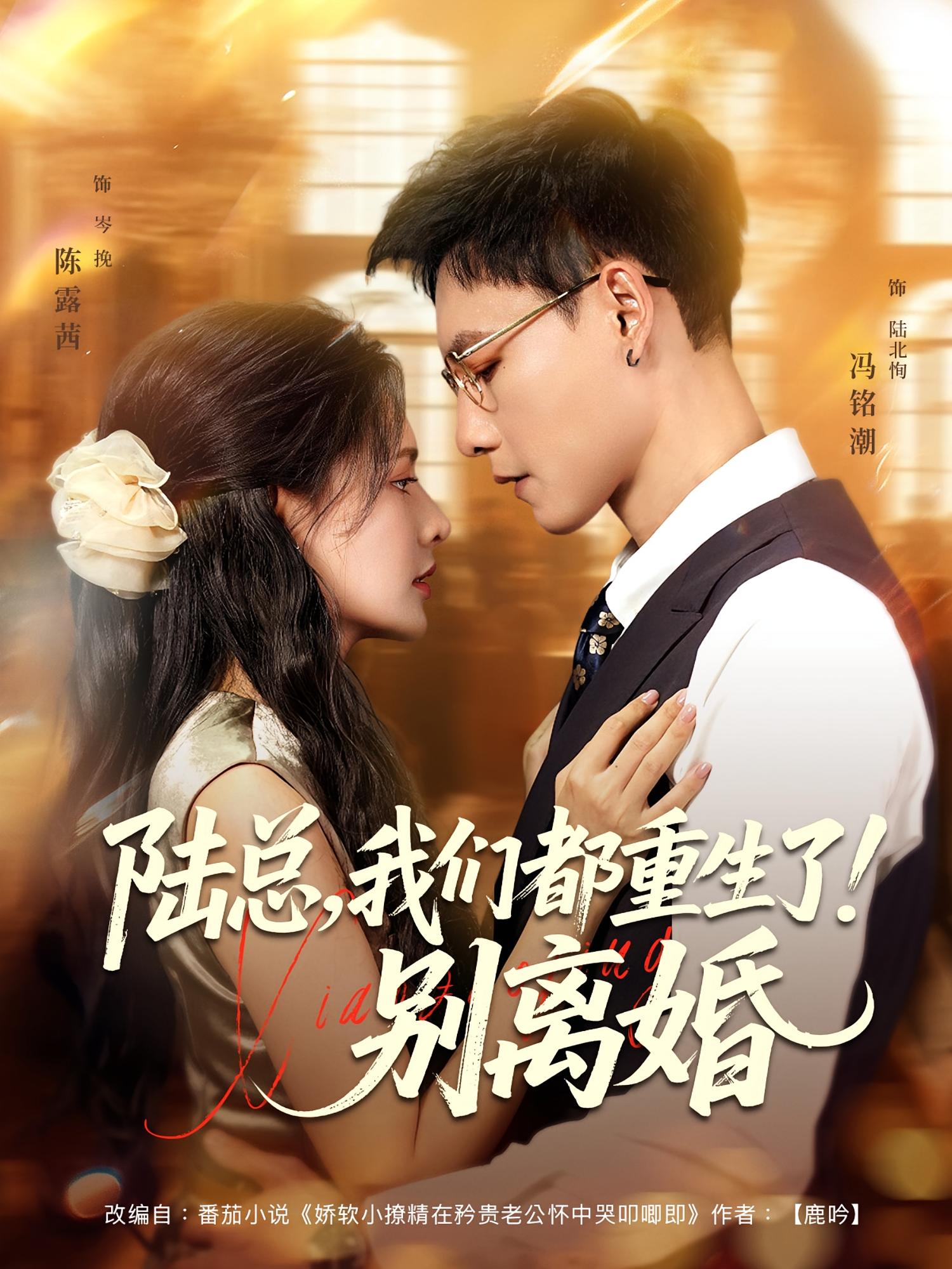 陆总，我们都重生了！别离婚 都市情感·都市·全79集 冯铭潮&陈露茜&马德