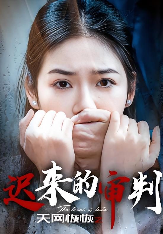 天网恢恢之迟来的审判 女性成长·逆袭·全31集 李奕璇&张文辉&宋江