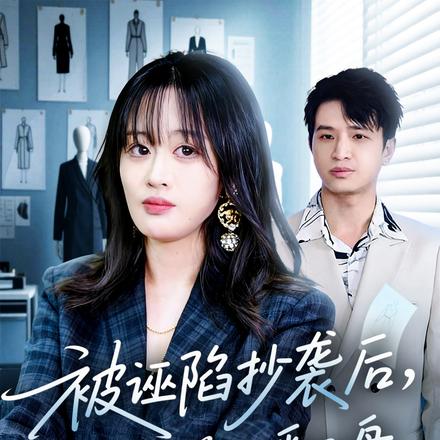 被诬陷抄袭后，我逆风翻盘