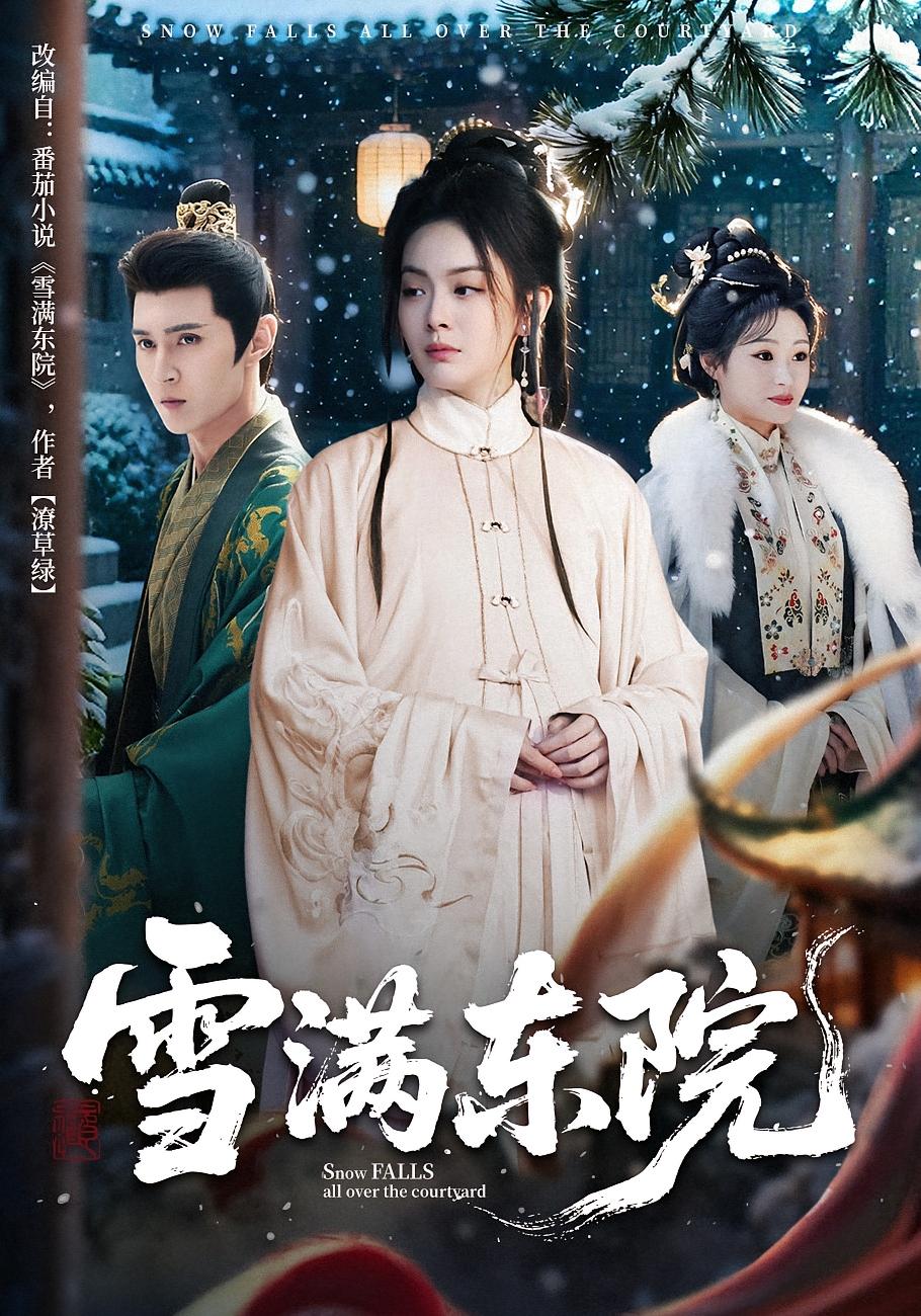 雪满东院 宫斗宅斗·王妃·全60集 赵安第&希尔力&何初宜