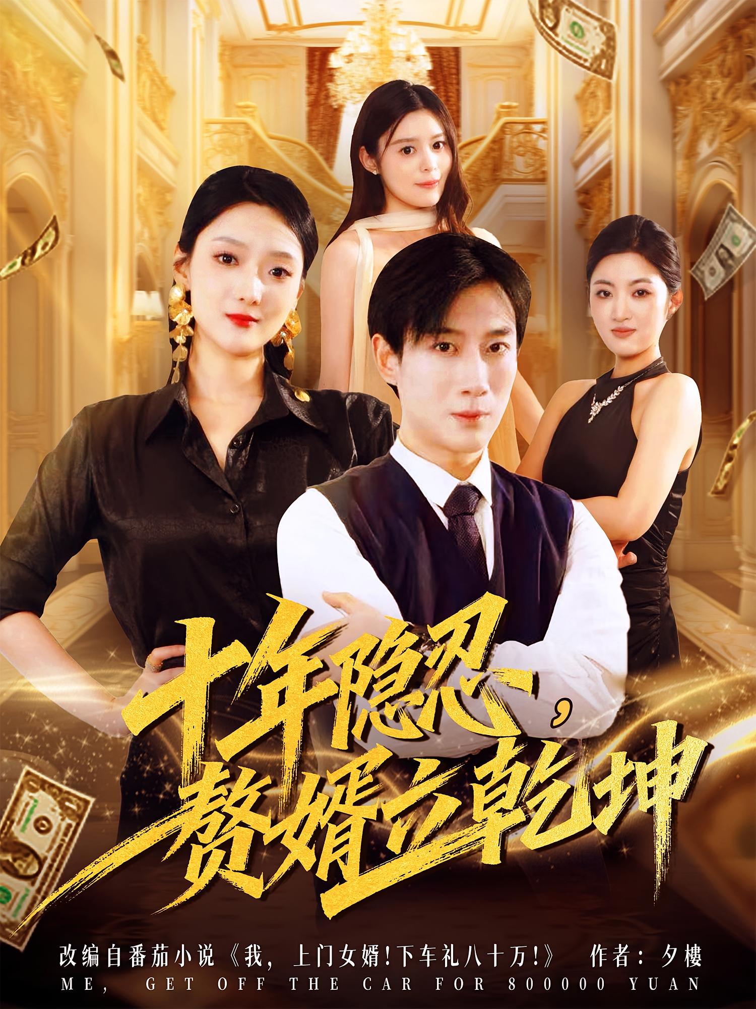 十年隐忍，赘婿立乾坤 赘婿逆袭·系统·全80集 杨杰&安安&王梓豪