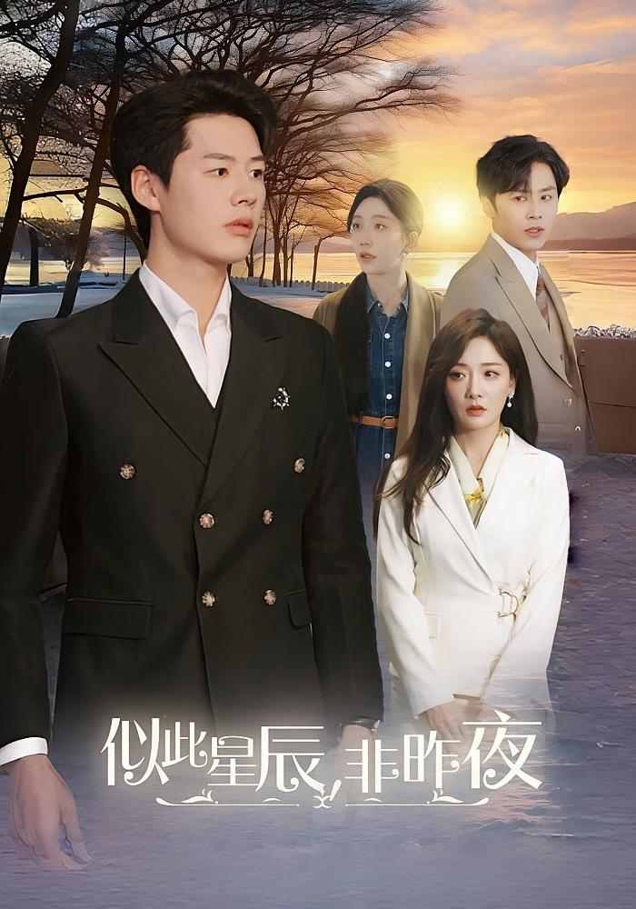 似此星辰，非昨夜 赘婿逆袭·都市·全50集 曾育琳&龚发城