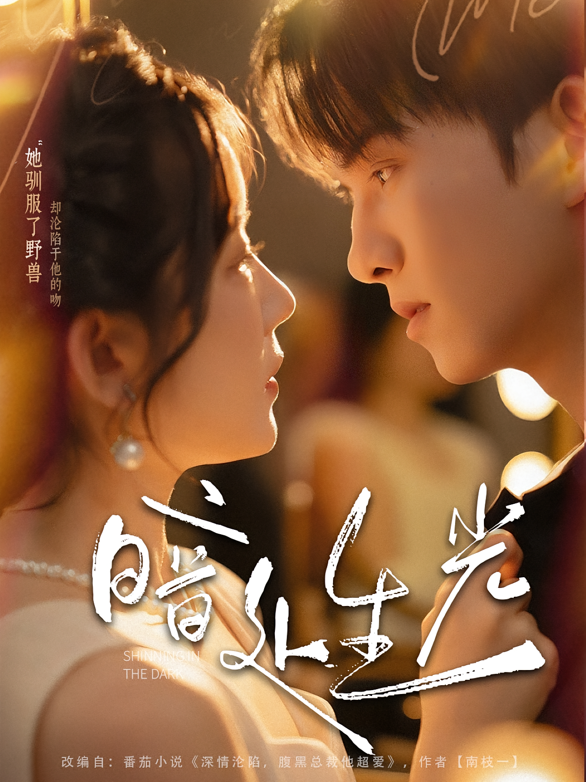 暗处生光 都市情感·总裁·全82集 莫书铭&冯易鑫&王大虹