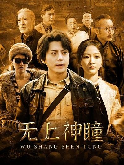 无上神瞳封面图
