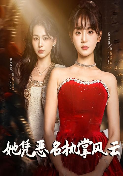 她凭恶名执掌风云 女性成长·都市·全65集 徐波滴&刘思源&郭小漪