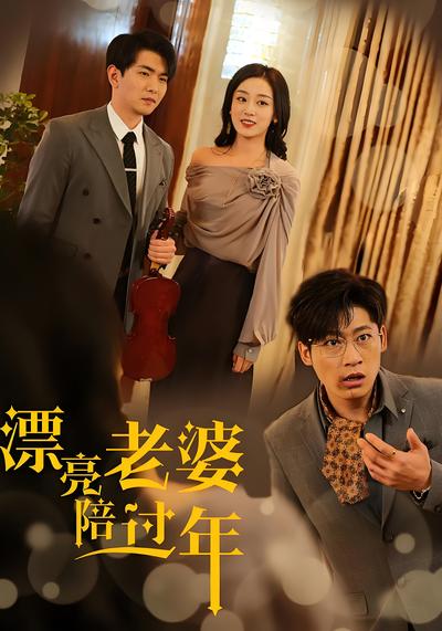 漂亮老婆陪过年封面图