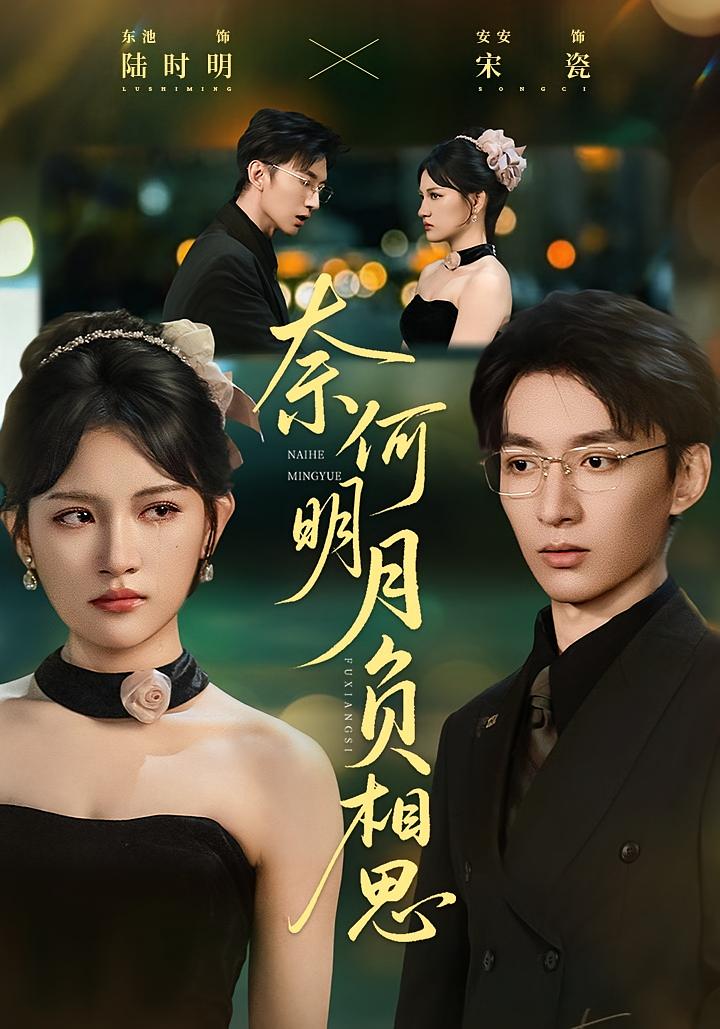 奈何明月负相思 女性成长·都市·全60集 安晓洁&刘烨琪&东池