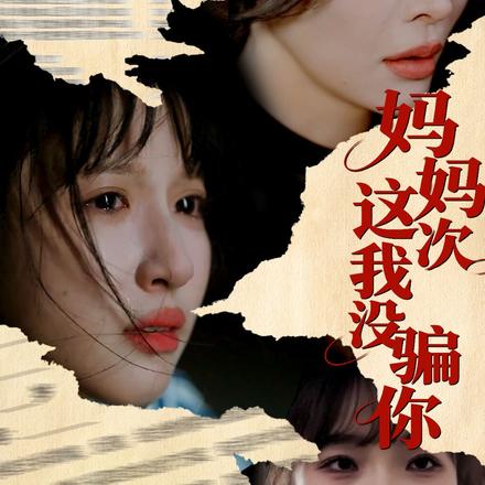 妈妈这次我没骗你封面图