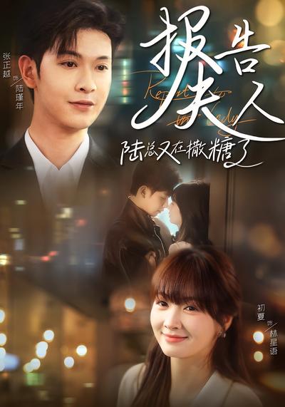报告夫人陆总又在撒糖了封面图