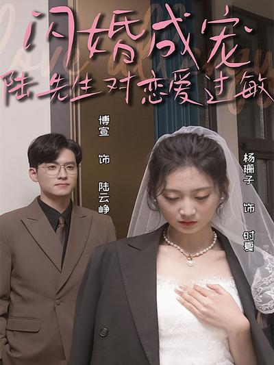 闪婚成宠陆先生对恋爱过敏