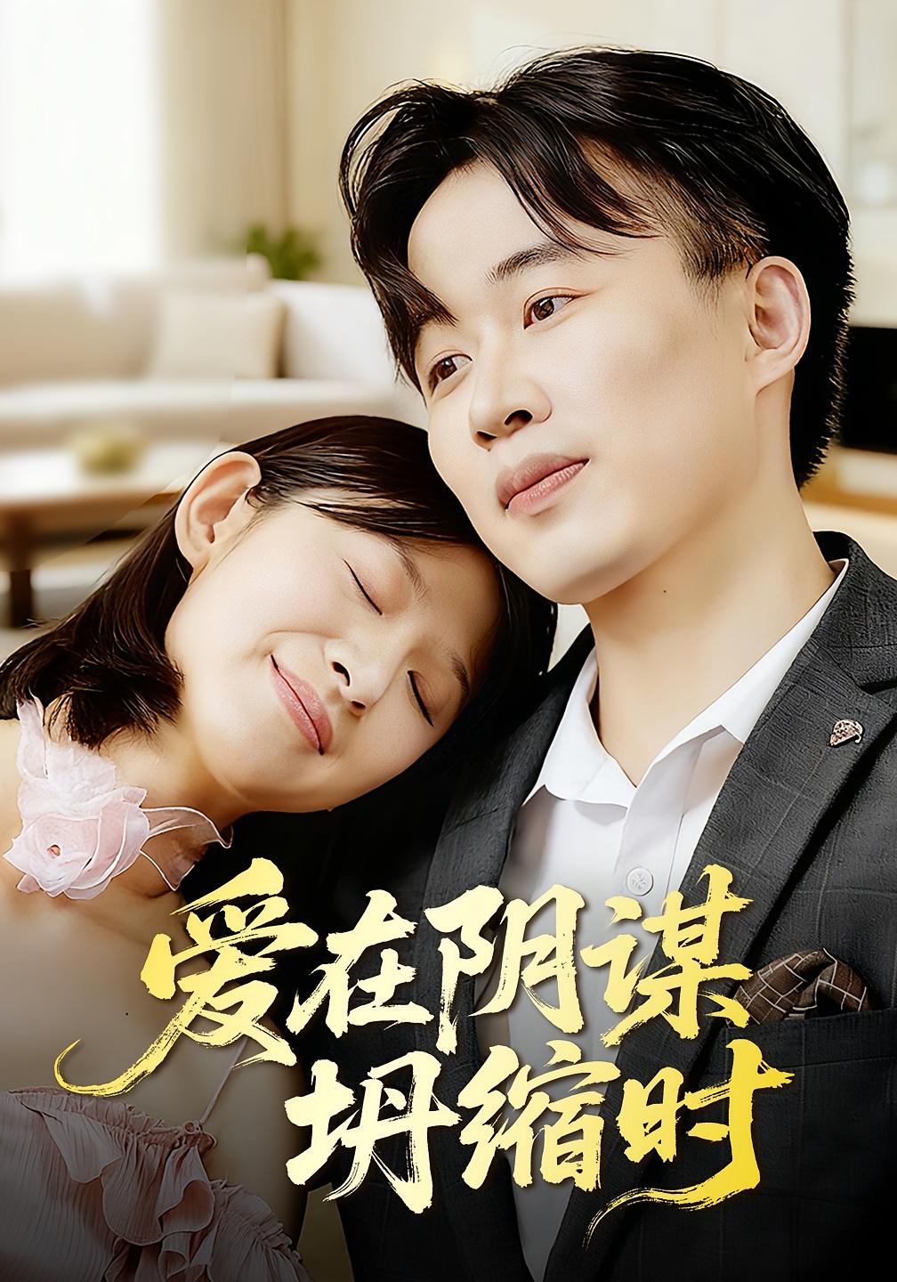 爱在阴谋坍缩时 都市情感·都市·全21集 曹栋&谭颖娟