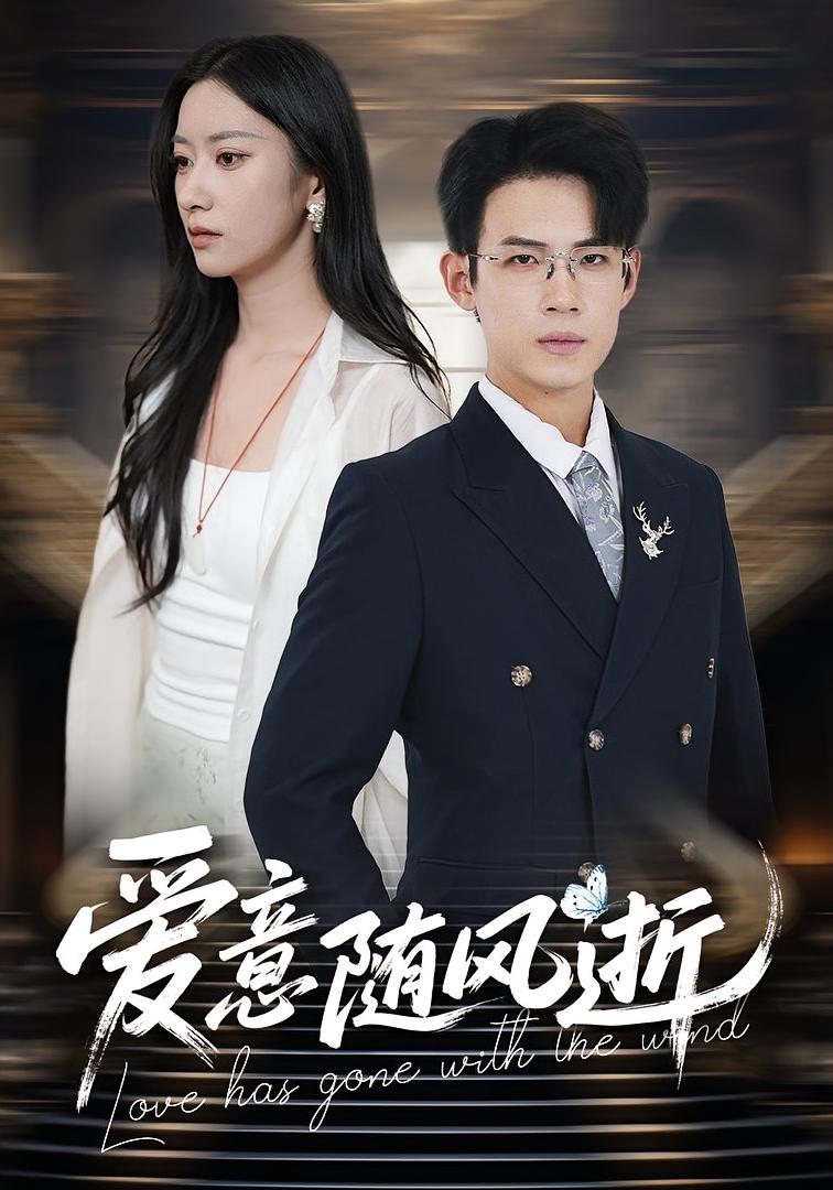 爱意随风逝 都市情感·都市·全60集 葛子杨&张张&周静文