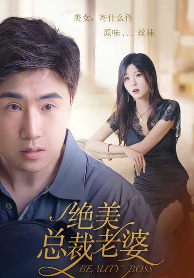绝美总裁老婆封面图