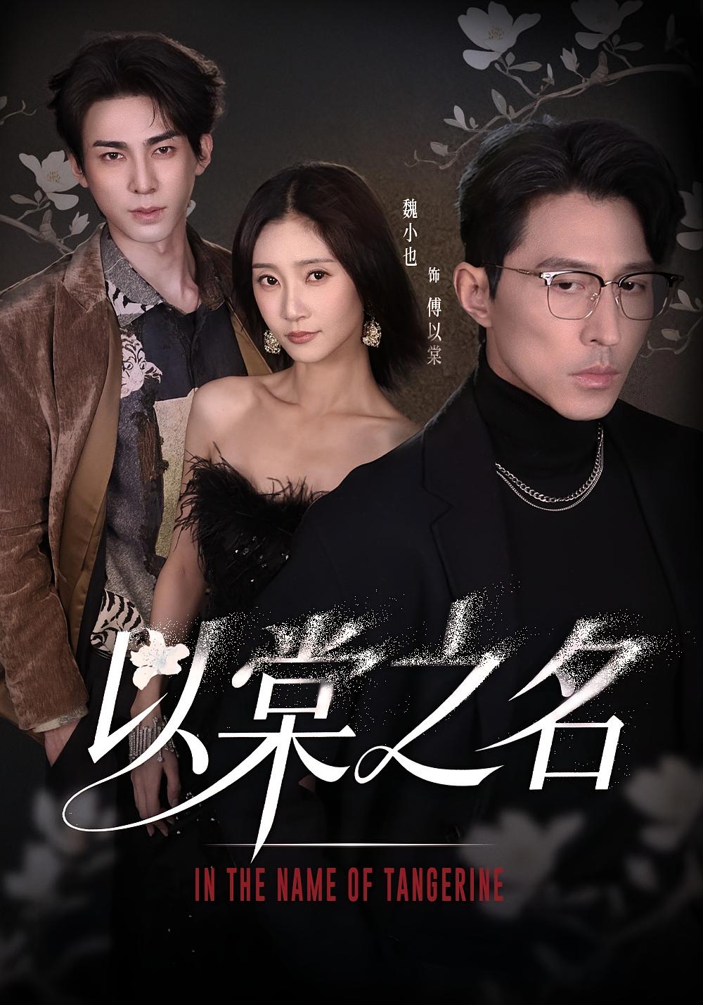 以棠之名 女性成长·都市·全66集 魏小也&冯文栋