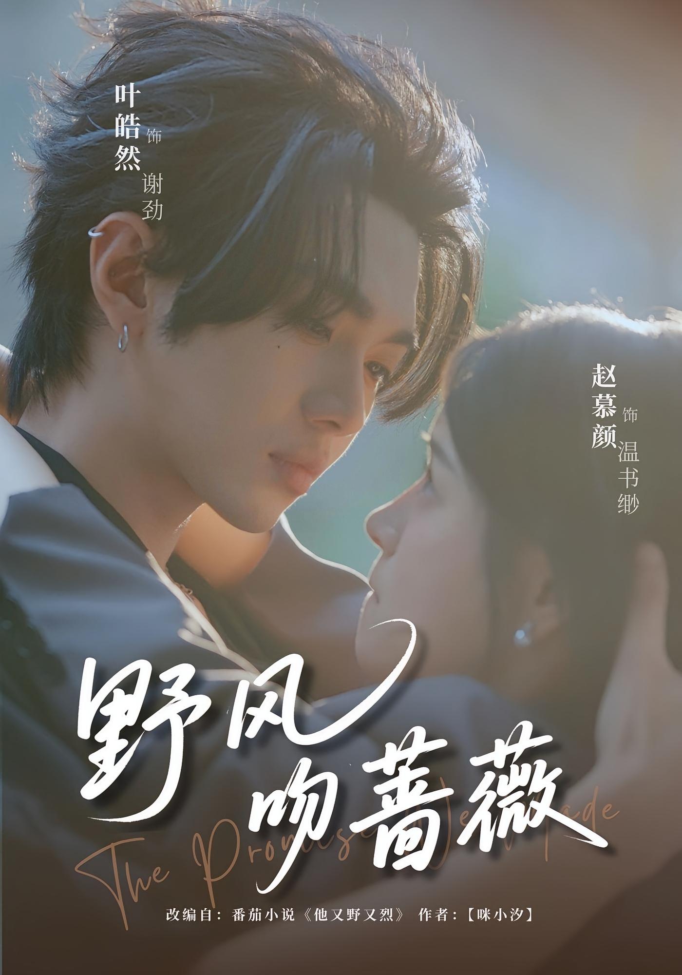 野风吻蔷薇 都市情感·都市·全78集 赵慕颜&叶皓然&马小艳