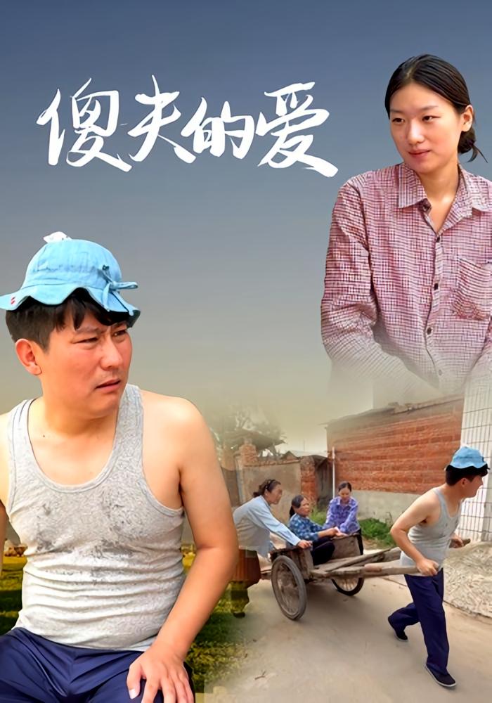 傻夫的爱封面图