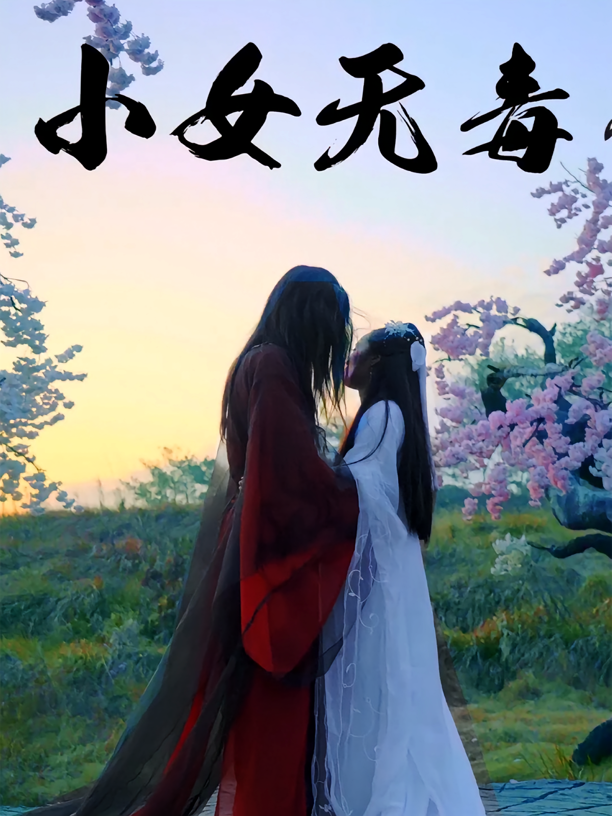 小女无毒 江湖武侠·群像·全14集 喻紫菲&岳彩贺