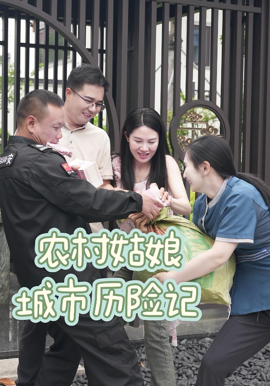 农村姑娘城市历险记封面图