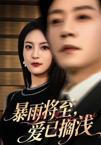 暴雨将至爱已搁浅封面图