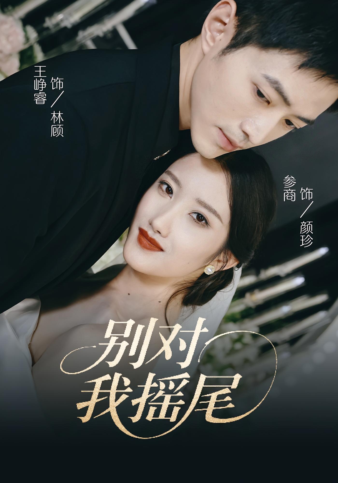 别对我摇尾 都市情感·都市·全59集 王峥睿&参商