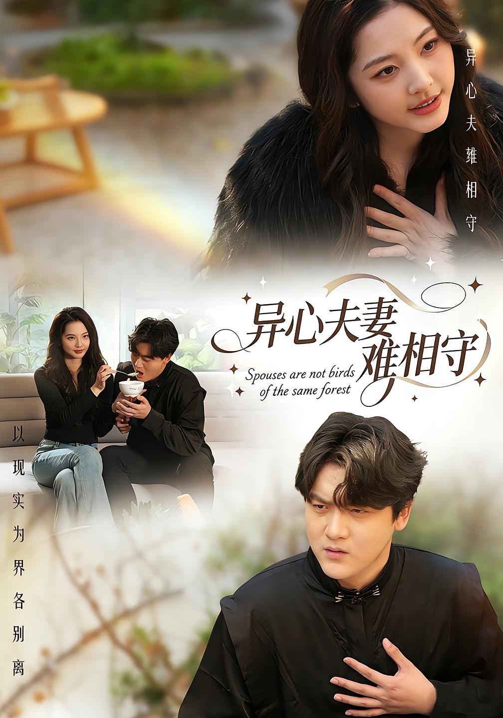 异心夫妻难相守封面图