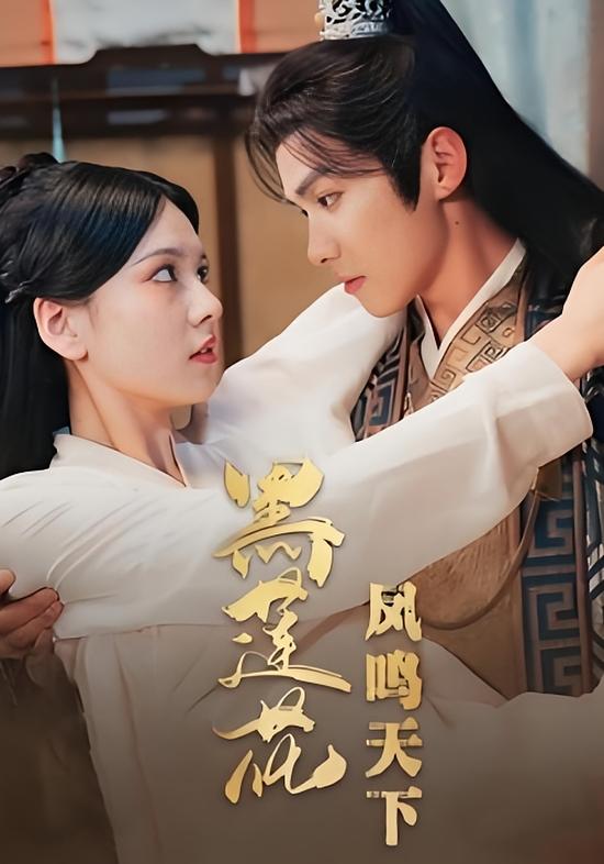 黑莲花凤鸣天下 宫斗宅斗·公主·全59集 梅莉&陈沐一&芊翊