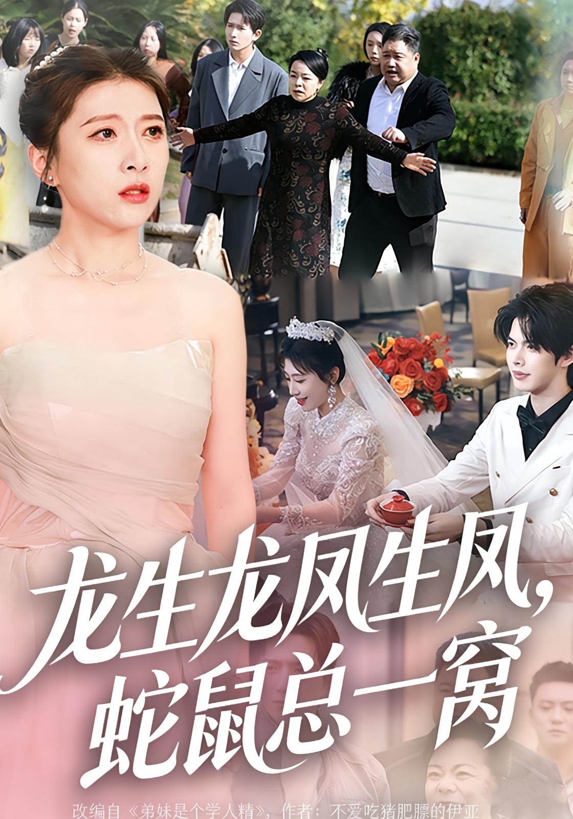 龙生龙凤生凤，蛇鼠总一窝 女性成长·马甲·全60集 白羽&苏寰&田珍