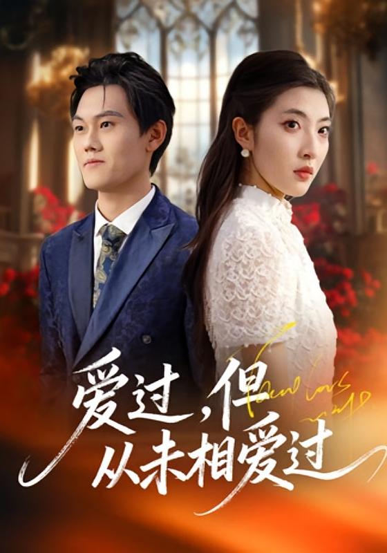 爱过，但从未相爱过 都市情感·女强·全30集 安澈&石淳合&余茂苇