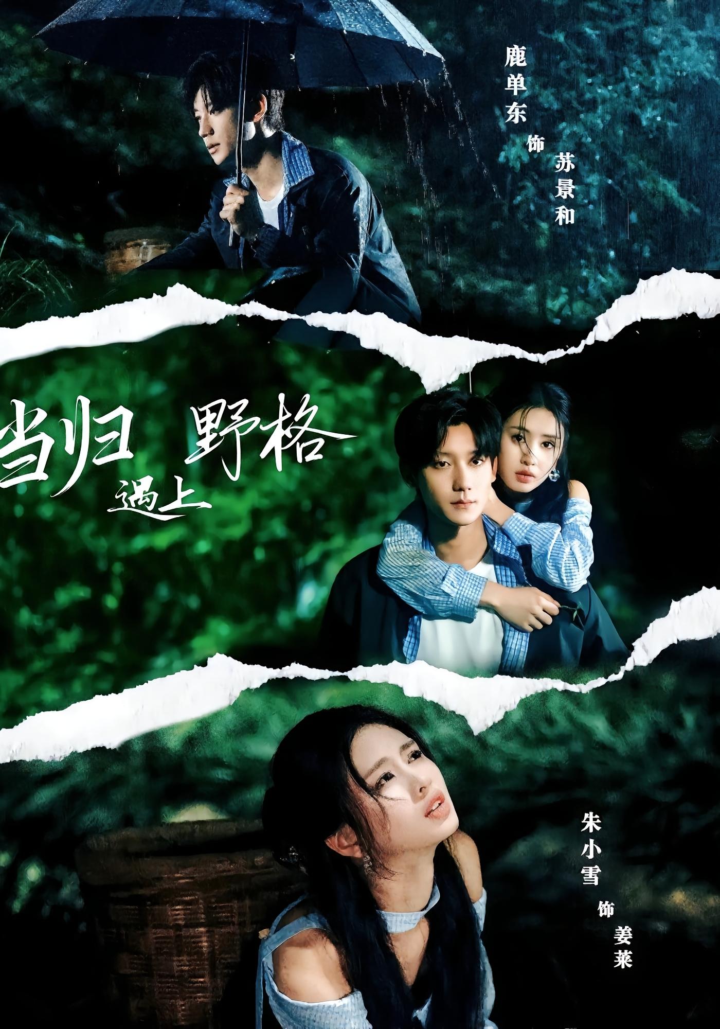 当归遇上野格 都市情感·日久生情·全66集 鹿单东&朱小雪&陈思妤