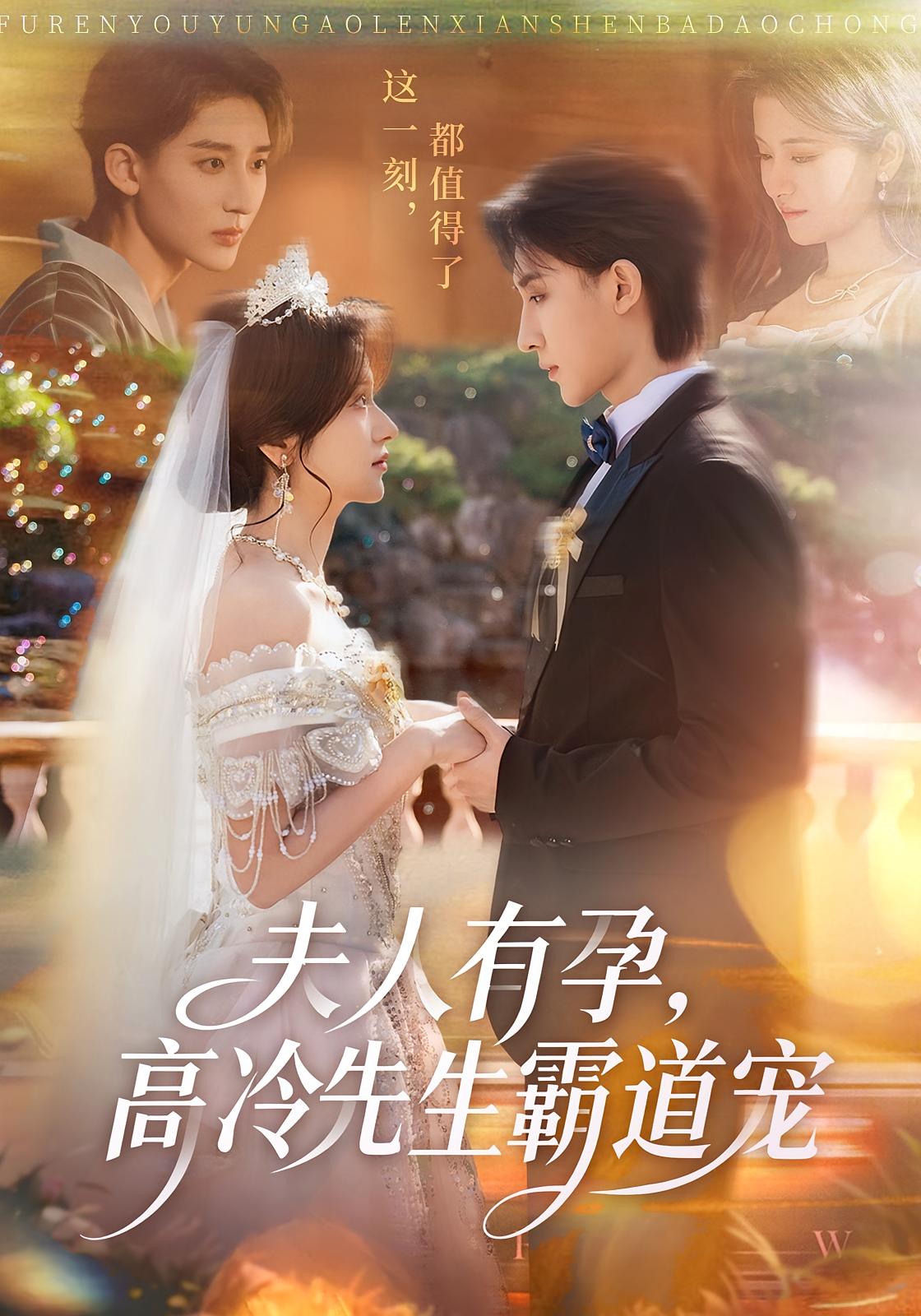 夫人有孕，高冷先生霸道宠 都市情感·都市·总裁 李思潼&译泽