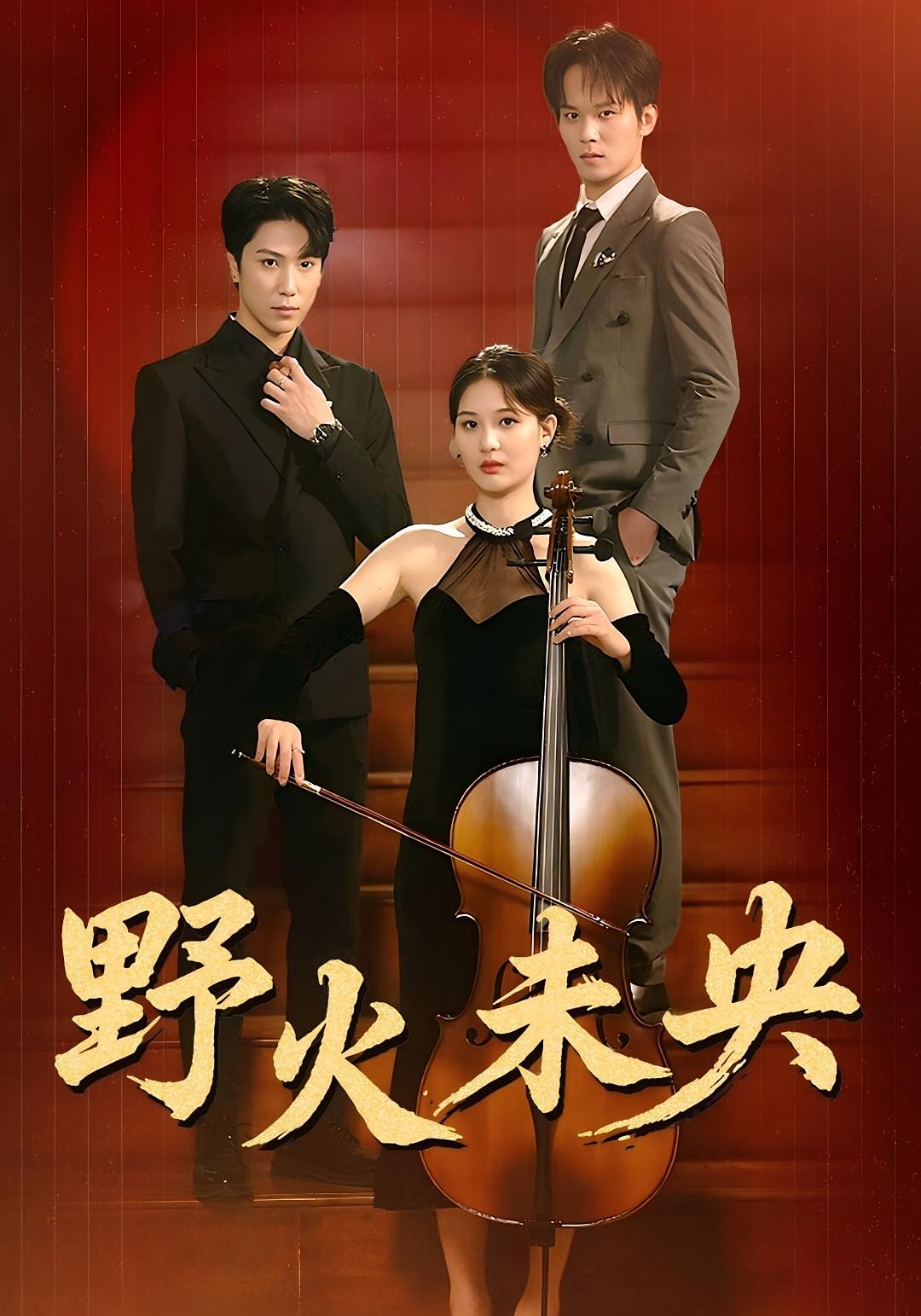 野火未央 女性成长·天才·全40集 刘畅&张星叙&辛宁