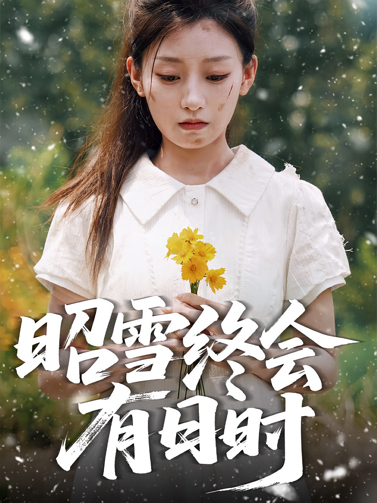 月落沉冤今当昭雪 都市日常·都市·全60集 宋昊泽&王倩&伊萌