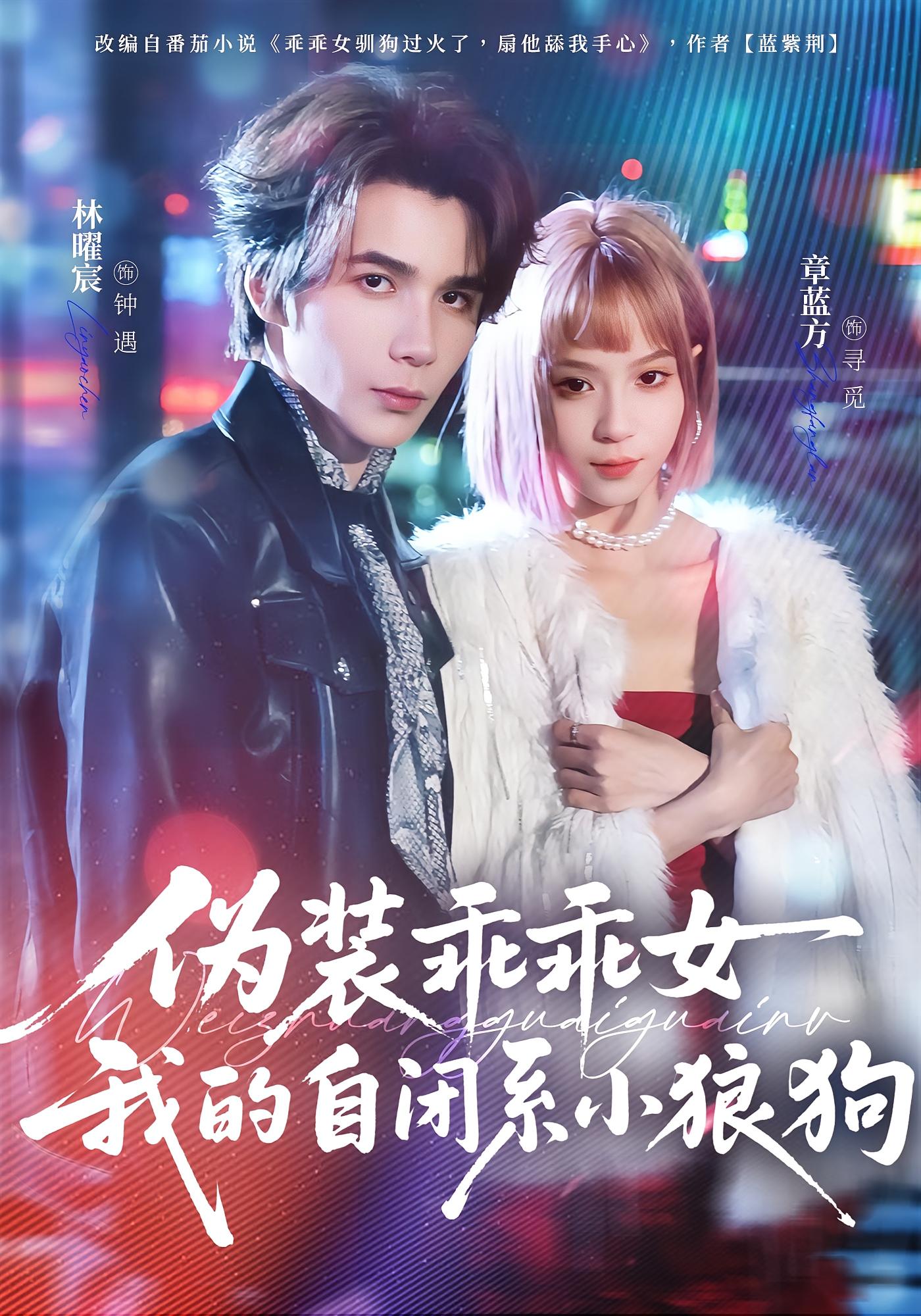 伪装乖乖女：我的自闭系小狼狗 都市情感·女强·全56集 章蓝方&林曜宸&陈文婧