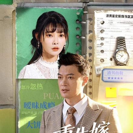 重生嫁对意中人封面图