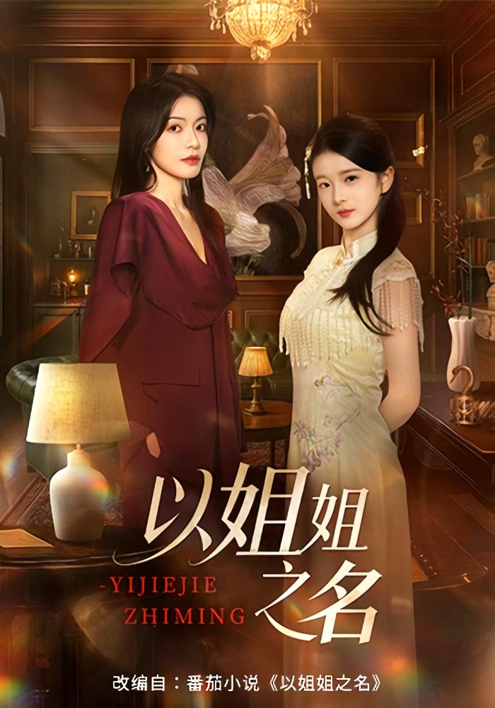 以姐姐之名 女性成长·都市·全61集 魏嘉&华文婷