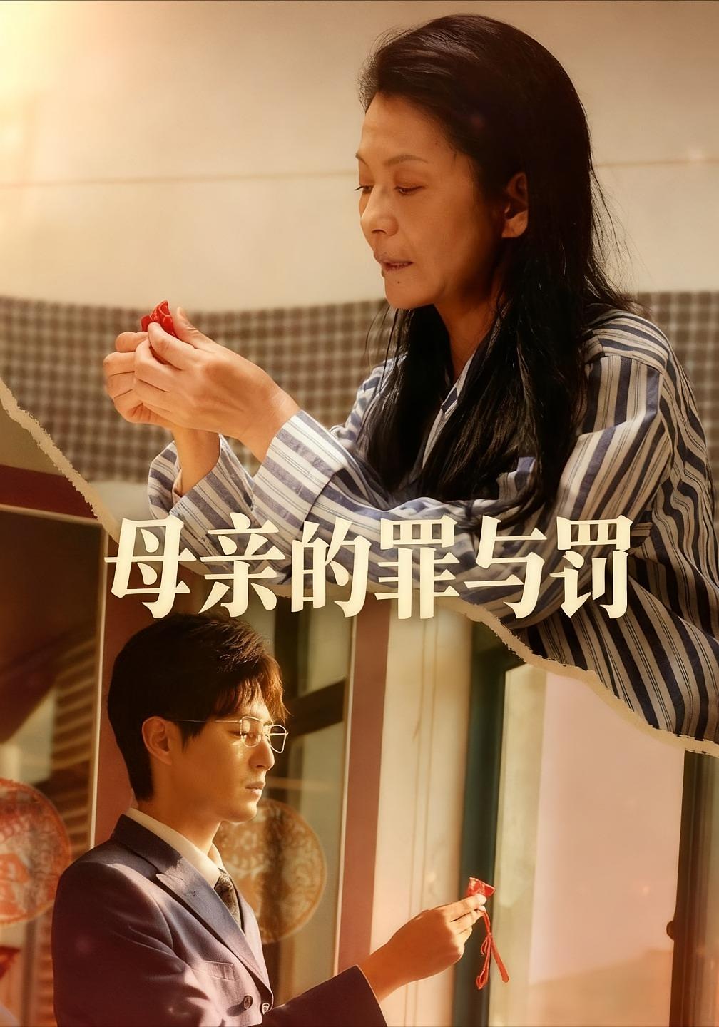 母亲的罪与罚封面图