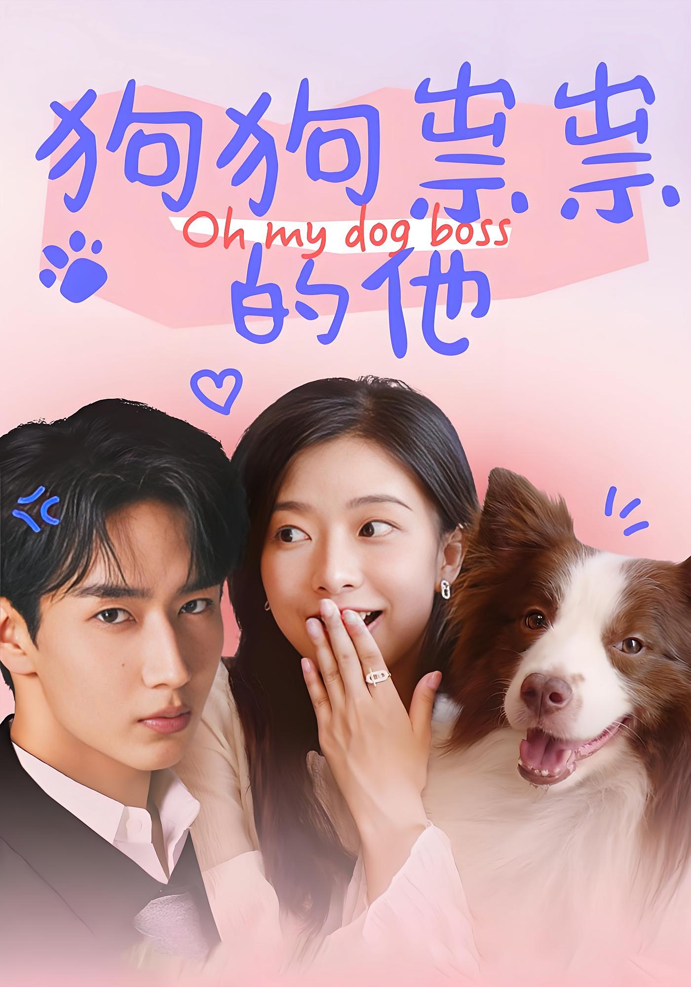 狗狗祟祟的他 奇幻爱情·总裁·全52集 闫海明&周紫煜&王偲瑀