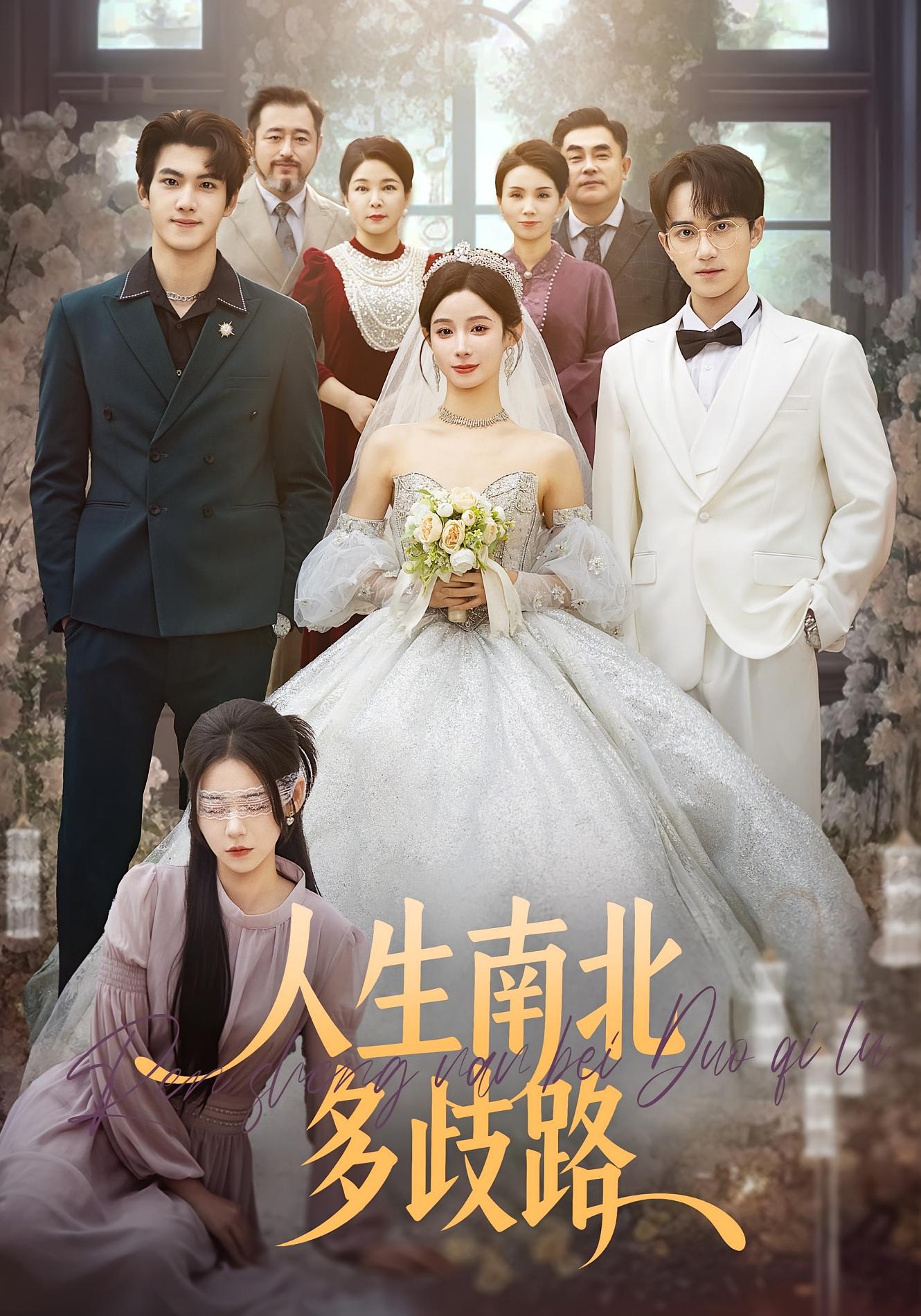 人生南北多歧路 女性成长·总裁·全55集 杨竣茗&李永臻&辛灏云