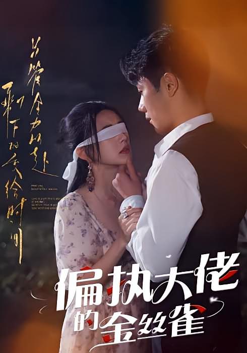 偏执大佬的金丝雀 都市情感·闪婚·全60集 李铂一&谭薇薇&邓依灵