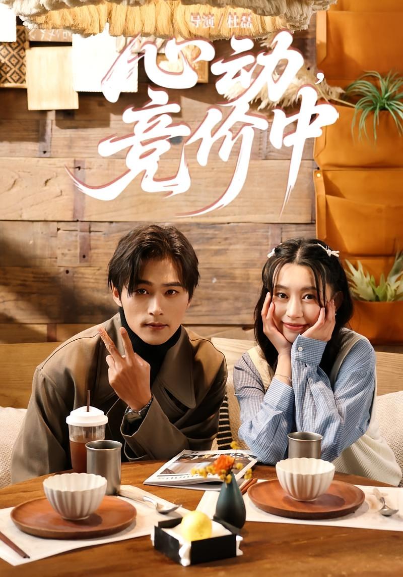 心动，竞价中 都市情感·总裁·全50集 王英杰&林安心&何韵