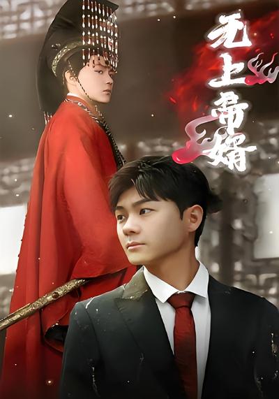 无上帝婿封面图