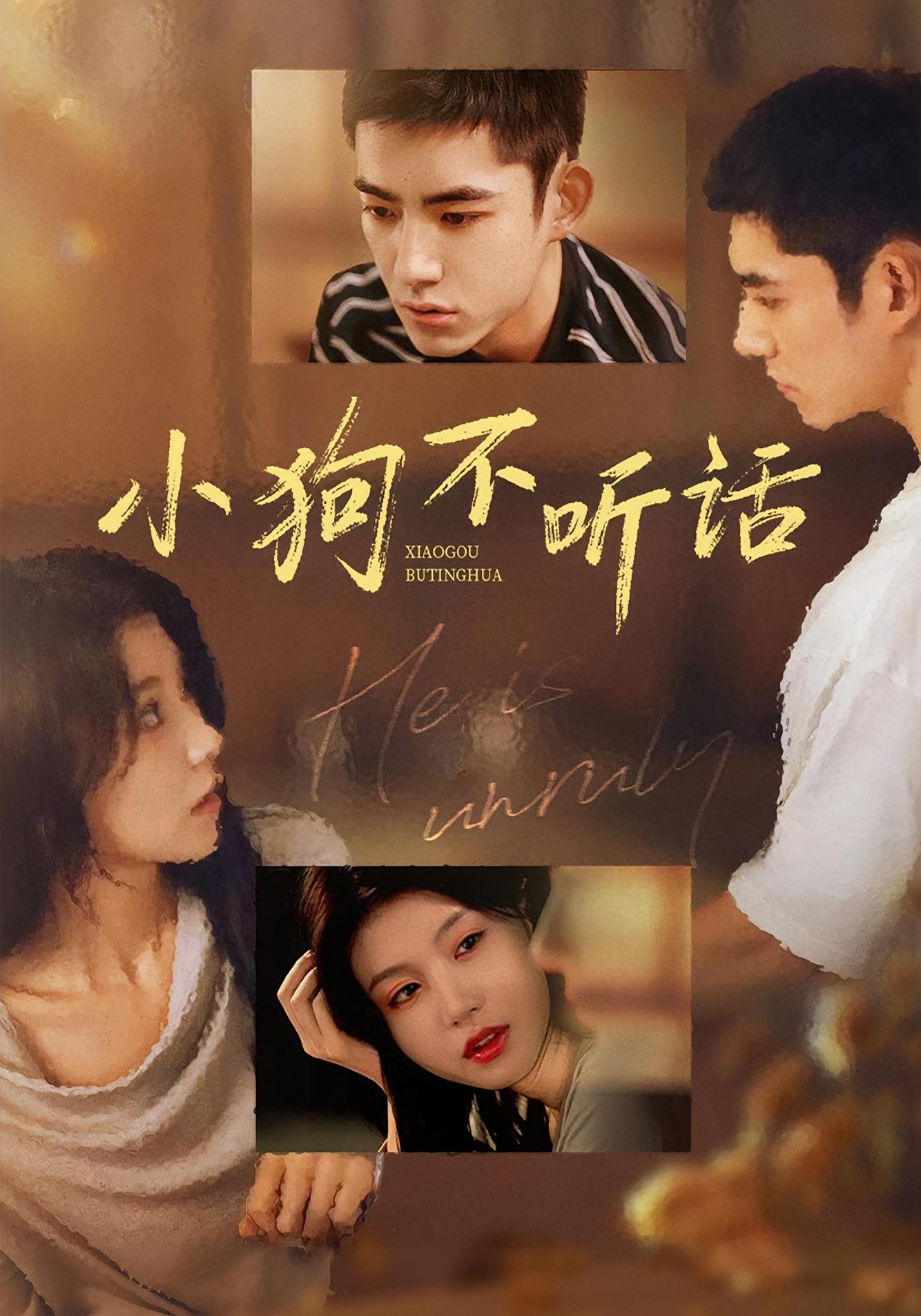 小狗不听话 都市情感·都市·全70集 何田田&马浩东