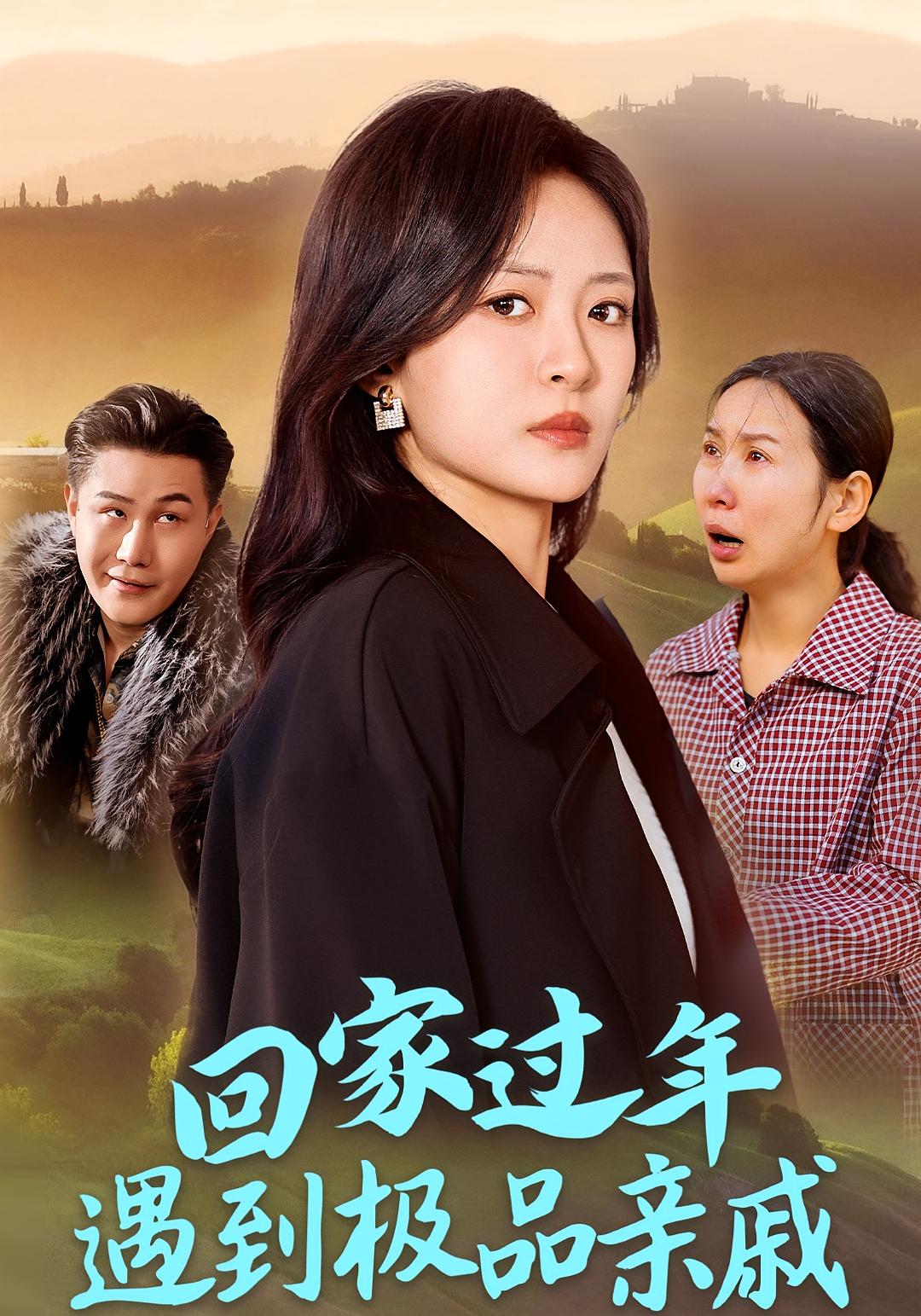 回家过年遇到极品亲戚 家庭伦理·马甲·全29集 程琳淼&梁鋆佳 896.1M