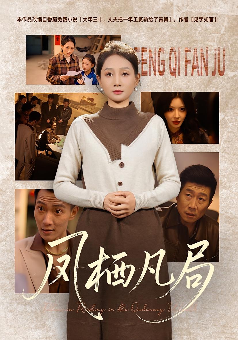 凤栖凡局封面图