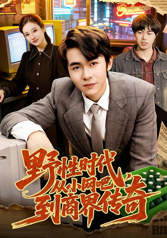 野性时代从小网吧到商界传奇封面图