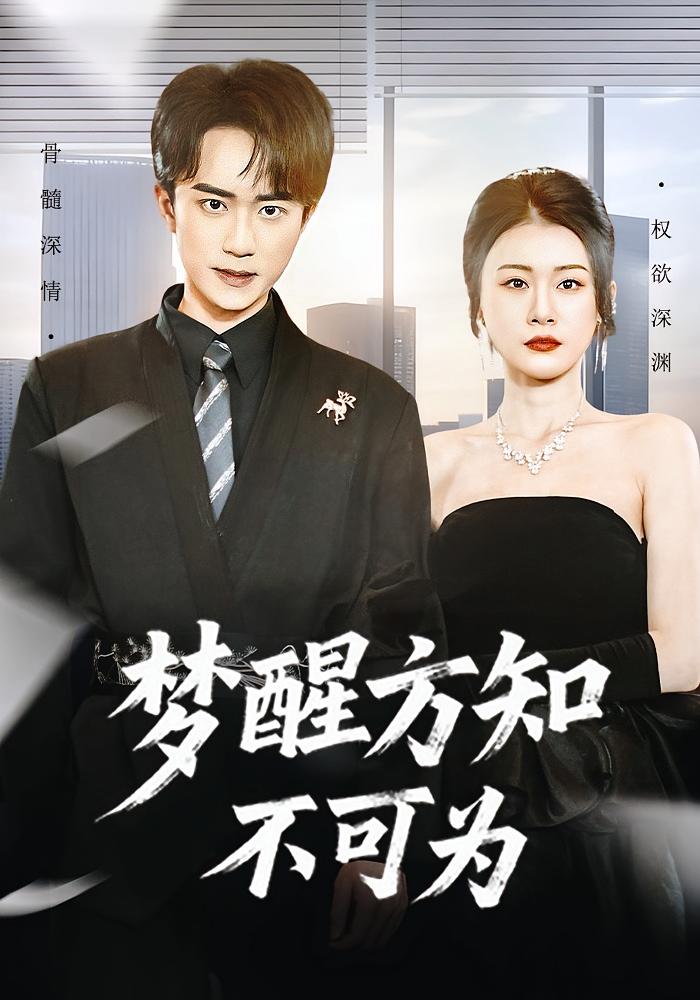 梦醒方知不可为 都市日常·都市·总裁 叶一宁&李永臻&杨冬