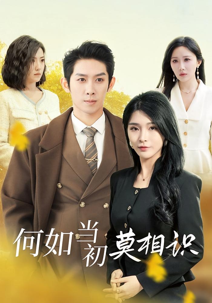 何如当初莫相识 都市日常·都市·全36集 彭羽&杨妍&周逸峰