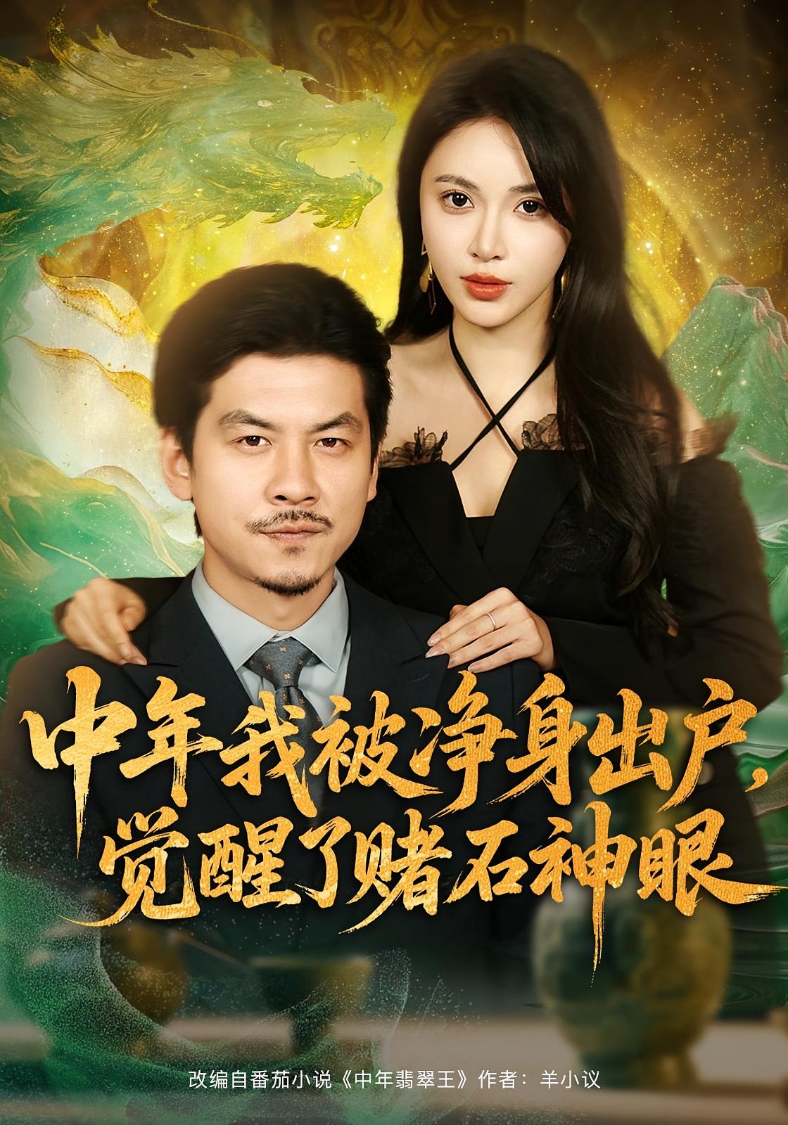 中年我被净身出户，觉醒了赌石神眼 都市脑洞·都市·全80集 魏华&柯珂&王辉