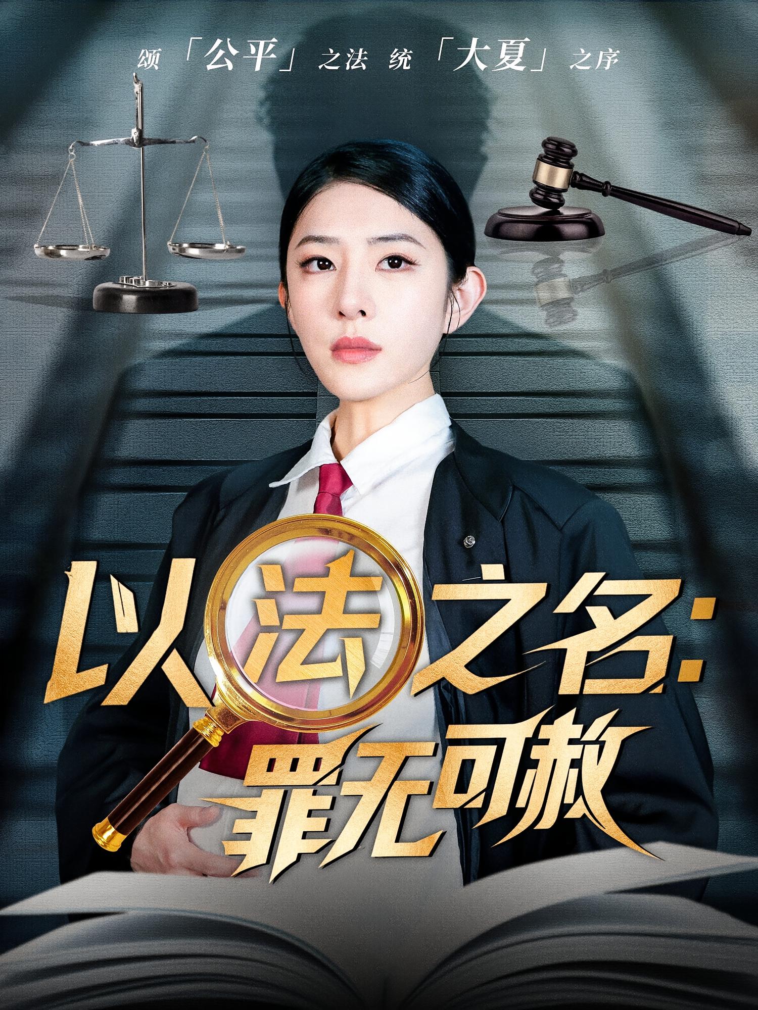 以法之名：罪无可赦 法律正义·律师·全60集 王依海&李图图